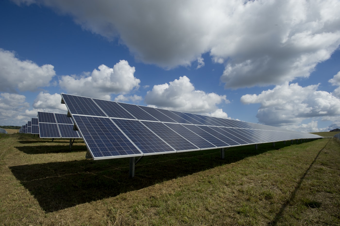 Solar panels on a green commercial rooftop